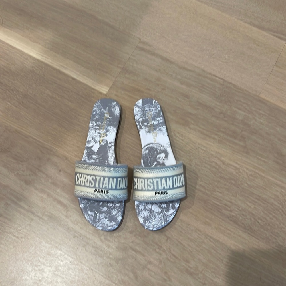 Christian Dior Dway Slide